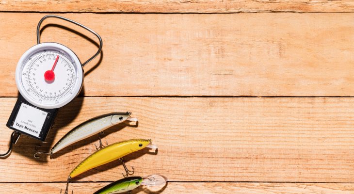 Check weighers: perché sono fondamentali per l’industria moderna