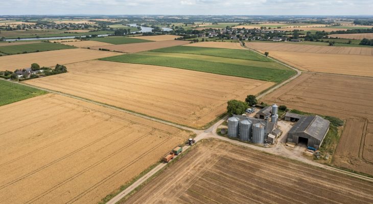 Produzione Cereali Zootecnici: resa, rotazioni e filiere